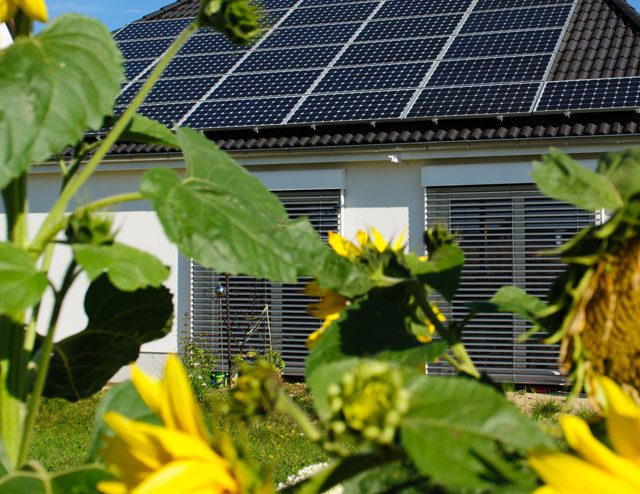 House with Solar Panels through Sunflowers